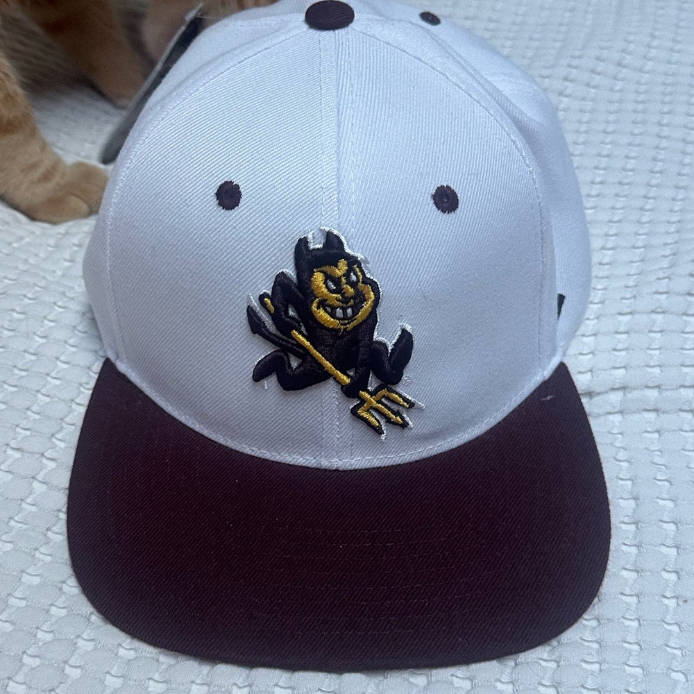 Flat brimmed hat